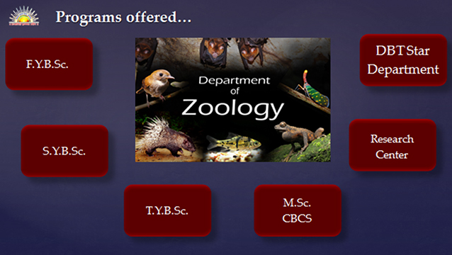 Zoology | Zoology, Words, ? logo